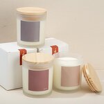 Scented Candle Manufacturer - Wholesale Frosted Glass Holder Handmade White Soy