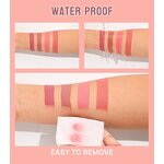 Liquid Lipstick Set Manufacturer - Hellokiss LC-107 Waterproof 4-Piece Matte Ink