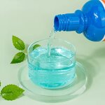 Mouthwash Manufacturer - 500ml Custom Logo Alcohol Free for Daily Dental Care