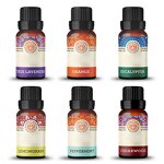 Essential Oils Manufacturer - Top Sales 100% Pure Natural Therapeutic Grade