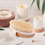 Body Brush Manufacturer - Wholesale Custom Logo, Wooden Bamboo Soft Bristle