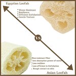 Loofah Sponge Manufacturer - Eco-Friendly Natural for Shower Bath