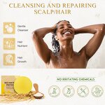 Shampoo Bar Manufacturer - Eco Friendly Solid Organic Vegan, Argan Oil & Rice