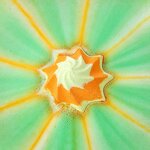 Bath Bombs Gift Set Manufacturer - Wholesale Private Label, Kids Cute Sugar Shape