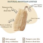 Loofah Sponge Manufacturer - Natural Raw Material for Dish & Body Scrub