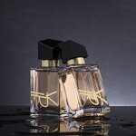 Perfume Manufacturer - 30mL Fruity Floral Spray Mist Long-Lasting for Women Student