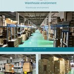 Board Shoes Manufacturer - Cowhide Platform Casual Unisex Brand Designer Autumn