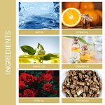 Men's Cologne Manufacturer - 100ml Natural Long-Lasting Original, USA Stock