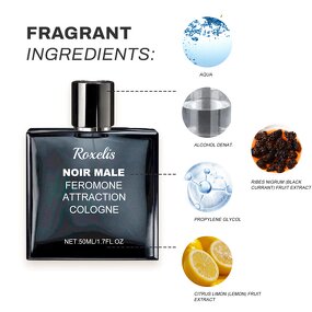 Men's Perfume Manufacturer - 100ml Long Lasting & OEM, USA Warehouse
