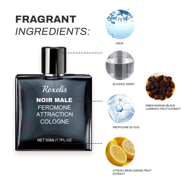 Men's Perfume Manufacturer - 100ml Long Lasting & OEM, USA Warehouse