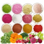Chicken Seasoning Powder - OEM Yellow Flavor Powder