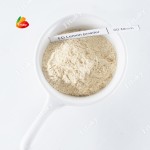 Chicken Seasoning Powder - OEM Yellow Flavor Powder