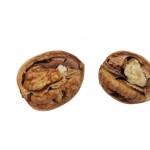 Pili Nut - OEM Food Grade Pili Almond