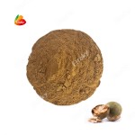 Fruit Vegetable Powder - OEM Natural Blend Powder