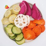 Dehydrated Carrot - OEM Bulk Export Carrot Slice