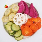 Dehydrated Carrot - OEM Bulk Export Carrot Slice