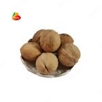 Almond Wholesale - OEM Low Price Almond Supplier