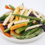 Dehydrated Carrot - OEM Bulk Export Carrot Slice