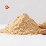Peanut Butter Powder - OEM Food Grade Peanut