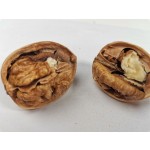 Pumpkin Seed - OEM Raw Pumpkin Seed Wholesale