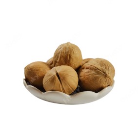 Pili Nut - OEM Food Grade Pili Almond