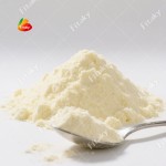 Honey Flavor Powder - OEM Small Bag Honey Powder