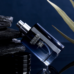 Cologne Manufacturer - Long-Lasting Woody for Men, Light and Wild Wholesale