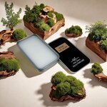 Solid Parfum Manufacturer - Spicy Oriental Note, Portable & Long-Lasting Premium