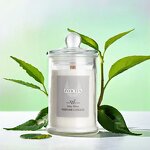 Scented Candle Manufacturer - Soy Wax Glass Jar with Wooden Wick, Long-Lasting