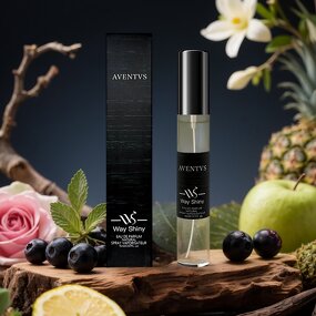 Men's Perfume Manufacturer - 15ml Portable Spray, Long Lasting Fruity Woody & OEM