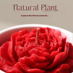 Aromatherapy Gift Box - Manufacturer Camellia High-glass Decor Birthday Gift