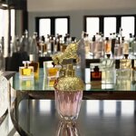 Perfume Mist - Manufacturer Factory Custom Women's Fruity Floral Wholesale