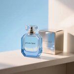 Perfume Spray - Manufacturer Women's EDC Custom Glass Bottle Daily Mist