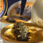 Squid Sea Cucumber Porridge Manufacturer - Hot Selling Instant Food