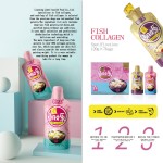 Red Date Fish Maw Manufacturer - Health Tonic Multi Flavor