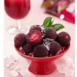 Premium Bayberry Juice Supplier - Soft Drink Manufacturing