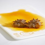 Dried Sea Cucumber Supplier - Wholesale Gift Box Elderly