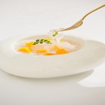 Collagen Bird Nest Manufacturer - Postpartum Meal Replacement