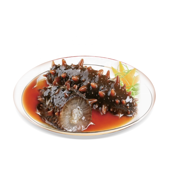 Wild Sea Cucumber Manufacturer - Pregnancy Food Dried Product