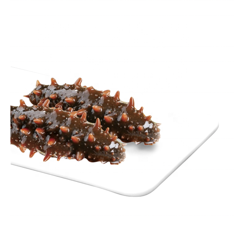 Dried Sea Cucumber Supplier - Wholesale Gift Box Elderly