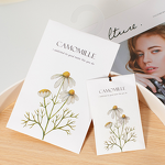 Car Air Freshener Manufacturer - Custom Closet Decoration Sachet Bags, Rose Scent