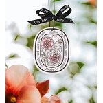 Car Fragrance Manufacturer - Solid Aromatherapy Card Pendant, Air Purifying Perfume