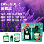 Reed Diffuser Manufacturer - Handmade Modern Flameless Aromatherapy Liquid, Scented