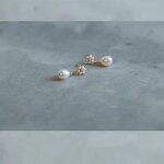 Earrings - Manufacturer S925 Silver Natural Pearl Trendy Luxury Stud for Women