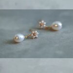 Earrings - Manufacturer S925 Silver Natural Pearl Trendy Luxury Stud for Women