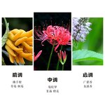 Perfume Spray - Manufacturer Mon Paris Floral Original Famous Brand for Women