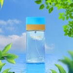 Perfume - Manufacturer 2024 100mL Top Quality Brand Long-lasting Cologne for Women