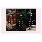 Perfume EDP - Manufacturer Wholesale 100mL Reverse Paris Long-lasting Original for Women