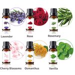 Essential Oil Gift Set Manufacturer - Hot Sale 12pcs 100% Pure Natural Organic 10ml