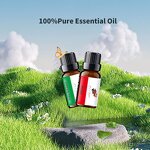 Essential Oil Manufacturer - Organic 10ml Citronella for Ultrasonic & Plug-in Diffuser